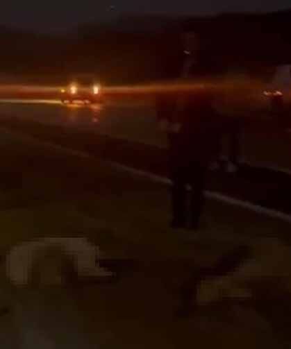 Sürüye çarpan otomobilin sürücüsü ve yolcular ölümden döndü
