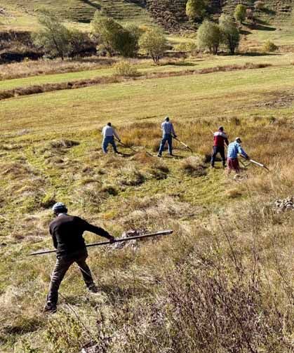 Ekim ayında son hasat yapıldı