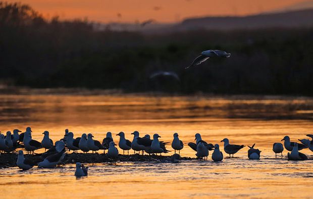 Van Gölü'nde gün batımı büyüledi