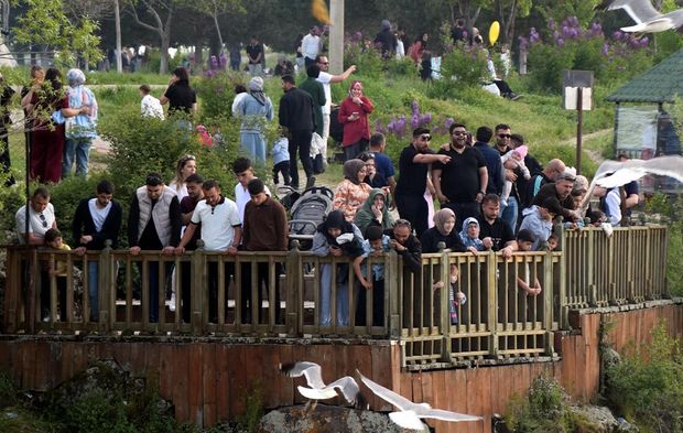 İnci kefali göçünü bayramda tam 40 bin kişi izledi!