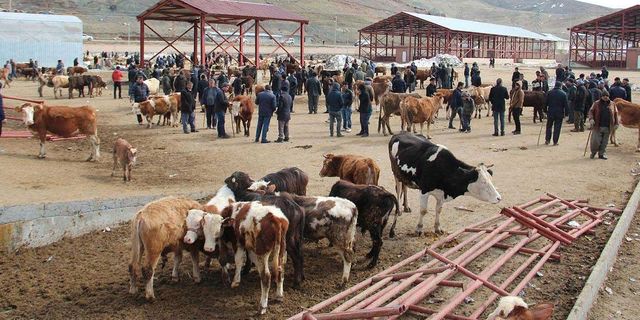Van Canlı Hayvan Borsası kapatıldı! Uymayanlara ceza kesilecek