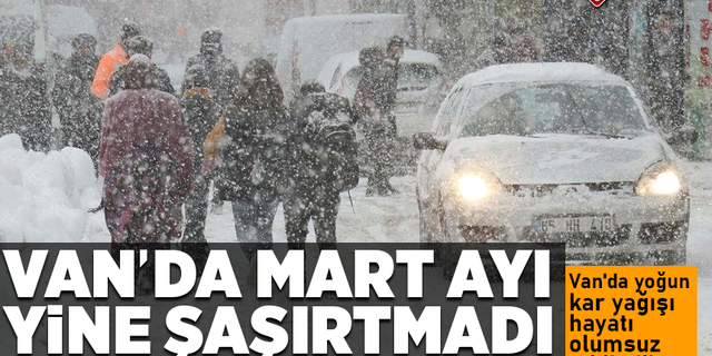 Van'da mart kapıdan baktırdı! Van'da yoğun kar yağışı hayatı olumsuz etkiledi!