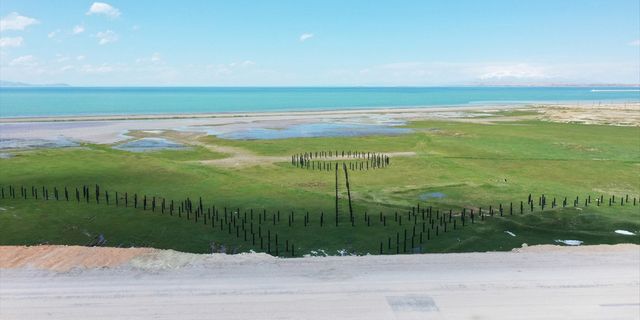 Van Gölü sahilindeki 1100 dönümlük alana park yapılıyor