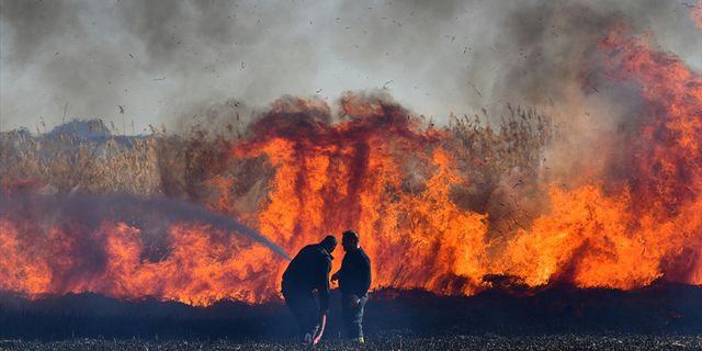 Van'da sazlık alanda çıkan yangın söndürüldü