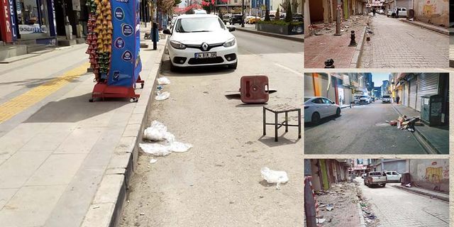 Bu görüntüler Van'a yakışmıyor