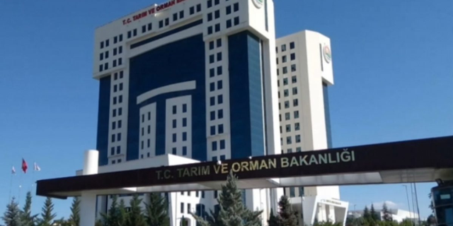 Bakan müjdeyi verdi. Ödemeler bugün başlıyor