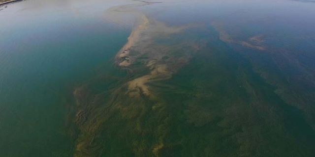 Van Gölü’ndeki kirlilik ciddi boyuta ulaştı