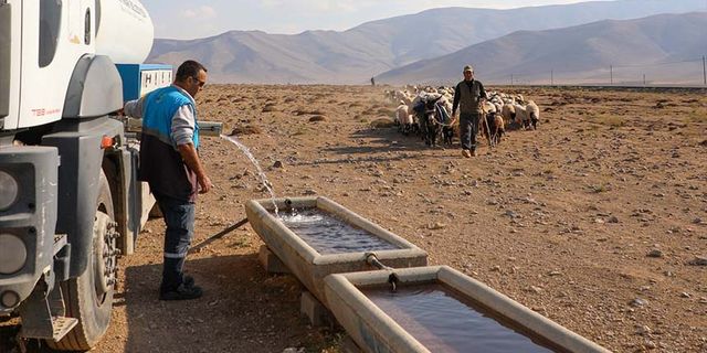 Van'da koyunlara tankerlerle su taşındı