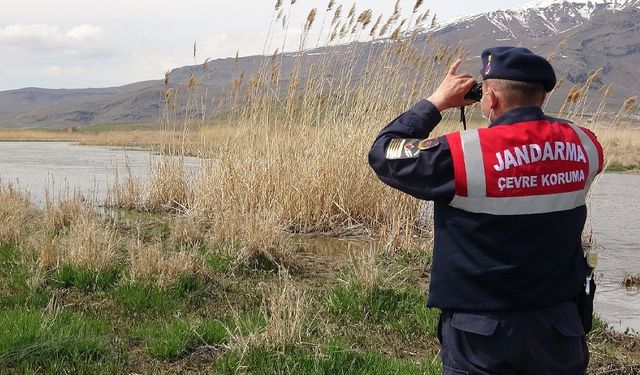 Van'da avlanma yasağı bulunan Van Balığı sıkı denetim!