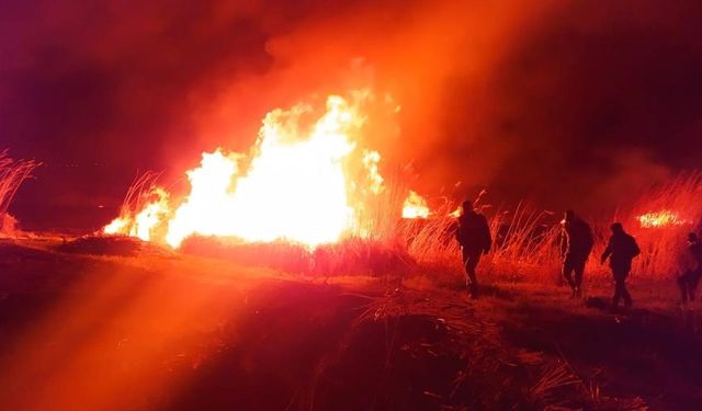 Lokman Aslan: Sazlık yangınları ekolojik dengeyi bozuyor