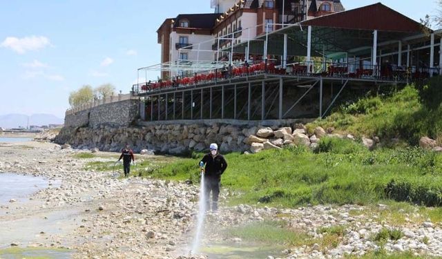 Van'da ilaçlama çalışmaları devam ediyor