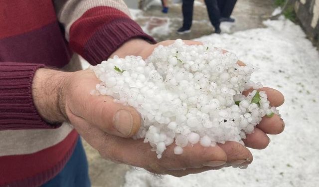 Erzincan beyaza büründü! Dolu yağışı durmadı...