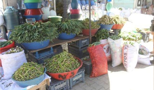 Van'da şifalı otlar tezgâhlardaki yerini aldı