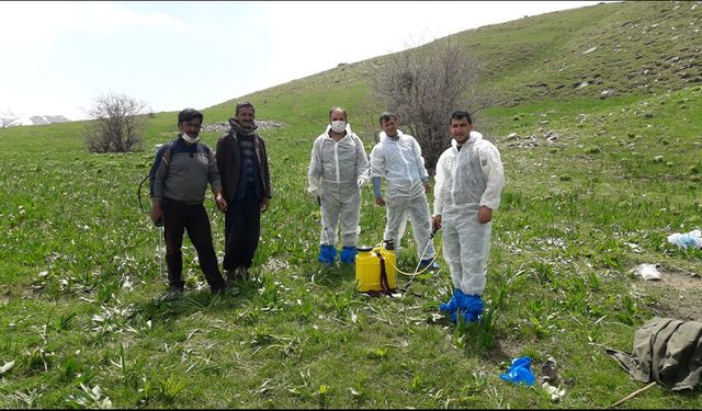 Çataklı çiftçilere ‘çekirge ile mücadele’ eğitimi