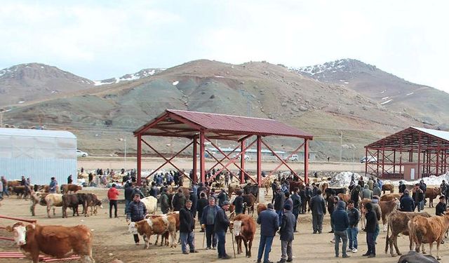 Başkale ilçesinde canlı hayvan pazarı yaptırılacak