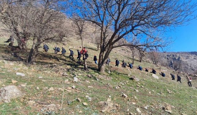 Yüksekova'da engerek yılanı görüntülendi