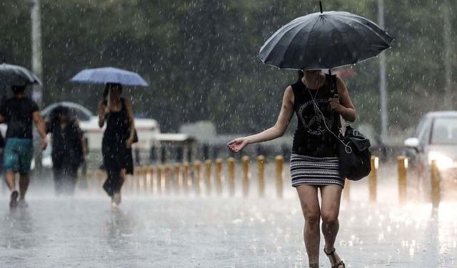 Meteoroloji Van'ı uyardı! Kuvvetli yağış geliyor