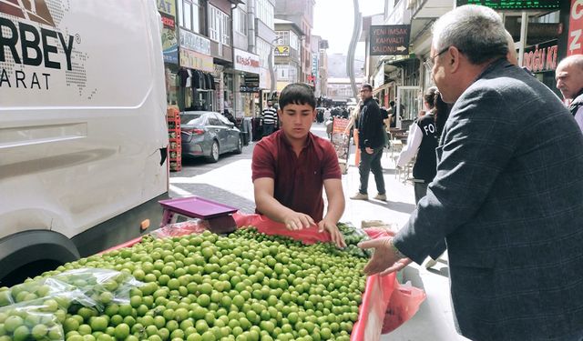 Vanlılardan yeşil eriğe yoğun ilgi