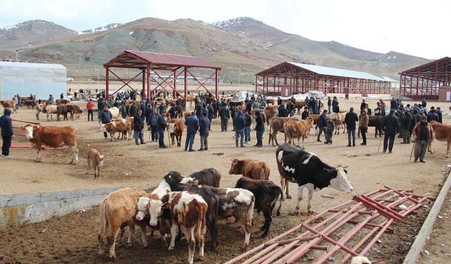 Van’da kurbanınızı nerelerde kesebileceğinizi biliyor musunuz? İşte o yerler!