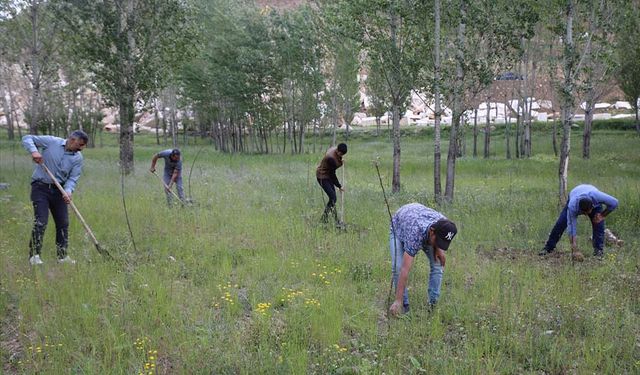 Van'da çiftçilere dağıtılan meyve fidanları toprakla buluşturuluyor