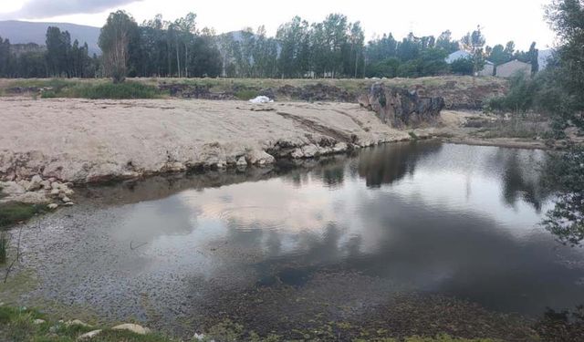 Bendimahi Çayı kurudu, balıklar mahsur kaldı