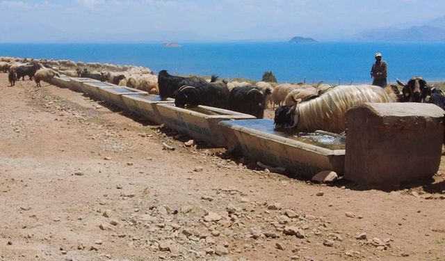 Van'da hayvanların otlatıldığı yayla güneş enerjisiyle suya kavuşturuldu