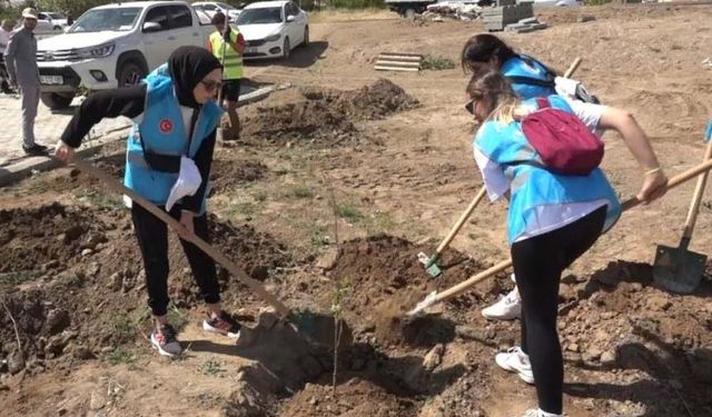 Erciş'te Dünya Çevre Günü etkinlikleri devam ediyor