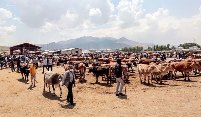 Van'da kurban kesim noktaları belli oldu! İşte kurban kesimi yapılacak yerler