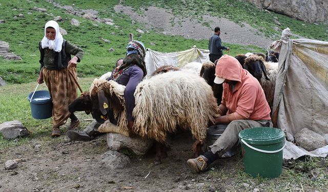 Göçerler yazın Van'ı tercih ediyor