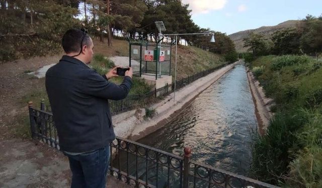 İnci kefalinin yaşamı tehlike altında