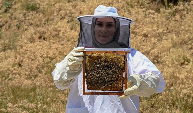 Van'da 5 kovanla başladığı arıcılıkta siparişlere yetişemiyor