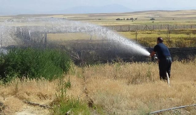 Van'da mangal yapmak isteyen kişi tarlasını yaktı!