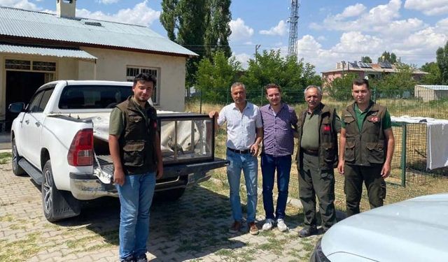 Van’da kafes avcılığı yapan 2 kişi güvenlik güçlerine takıldı