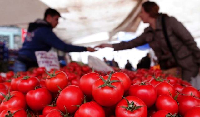 Van'da aldığı domatesi kesince şaşıp kaldı!