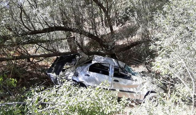 Adana’da köpeğe çarpmamak için manevra yapan otomobil uçurumdan düştü: 4 ölü