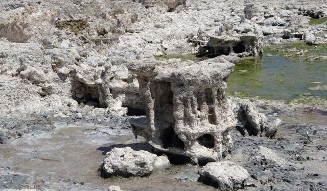 Van Gölü'nde sular çekilince yeni mikrobiyalitler ortaya çıktı