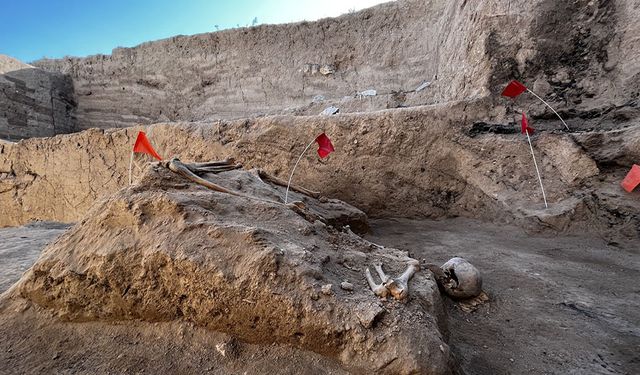 Ayanis Kalesi'ndeki kazılar, Urartular dönemine ışık tutuyor