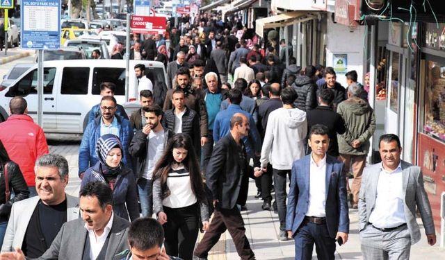 TÜİK Van'ın göç haritasını açıkladı