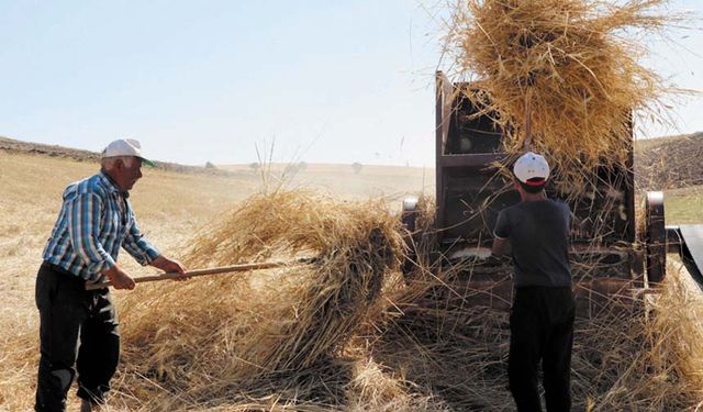 Van'da çiftçilerin kış hazırlığı başladı