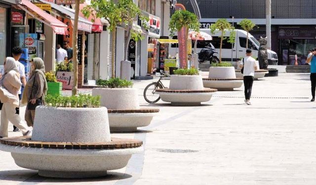 Sanat Sokağı ve Koçibey Caddesi'nde peyzaj çalışması