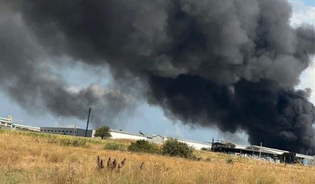 Tekirdağ'da kimya fabrikasında yangını çıktı