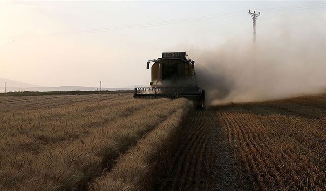 Tarımsal destekleme ödemesi bugün hesaplara yatacak