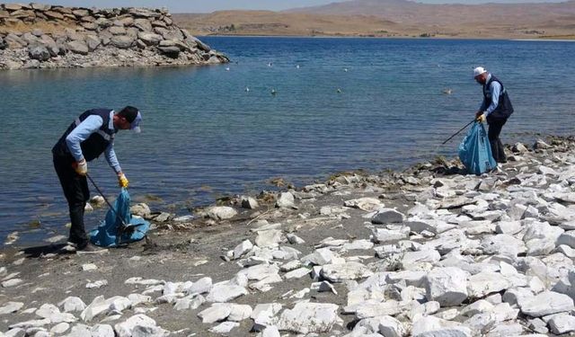 Martı ölümleri belediyeleri harekete geçirdi