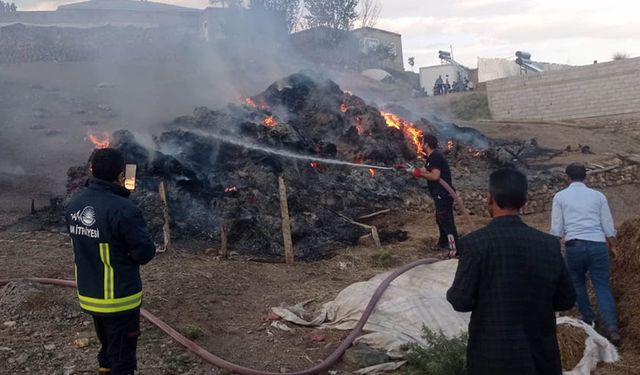 Van'da 8 bin bağ ot yandı