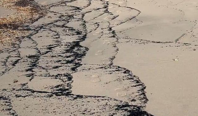 Çanakkale'de orman yangının ardından sahil siyaha büründü