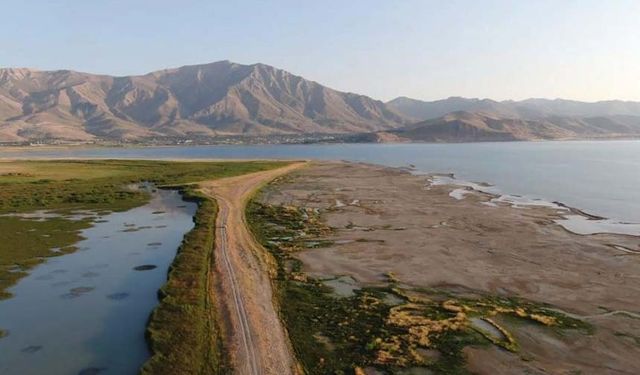 Van Gölü’nün sulak alanları yok oluyor