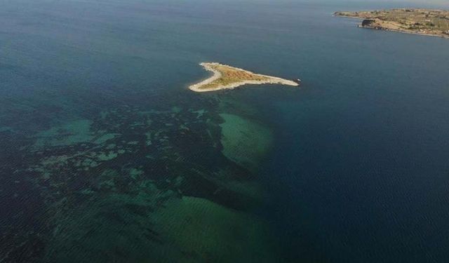 Van Gölü'nde su seviyesi düştü: Görünmeyen ada gün yüzüne çıktı