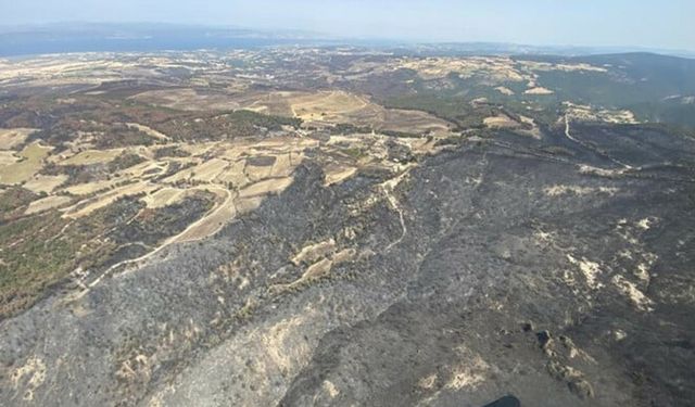 Çanakkale'de 114 orman yangınında 4 bin 260 hektar ormanlık alan zarar gördü