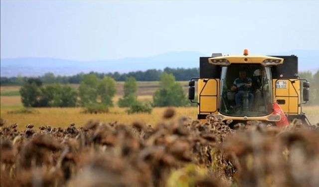 Tarımda en fazla tropikal meyvelerin fiyatı arttı