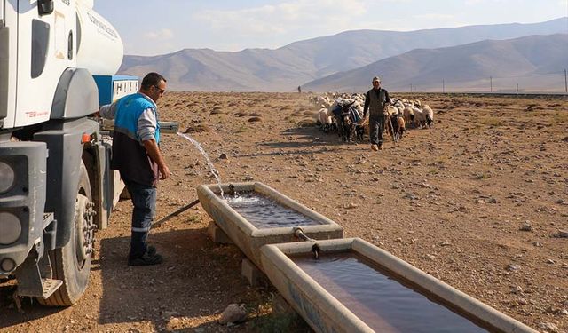 Van'da koyunlara tankerlerle su taşındı